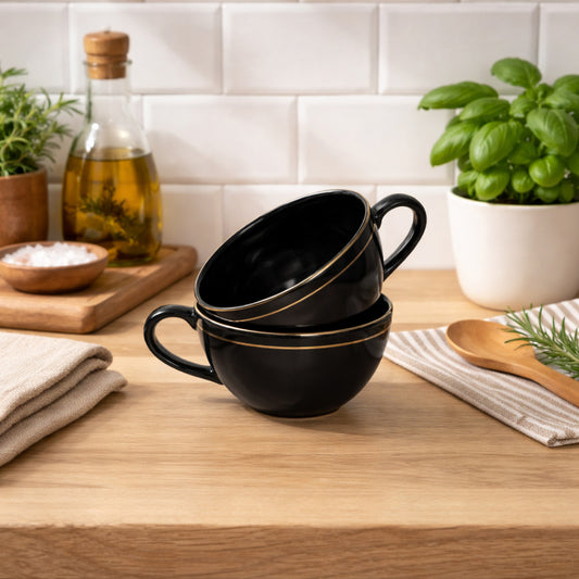 Soup Bowls with Handle Set of 2 | 275 ml