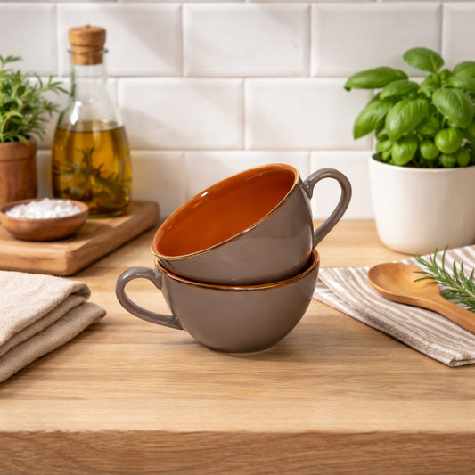 Soup Bowls with Handle Set of 2 | 275 ml