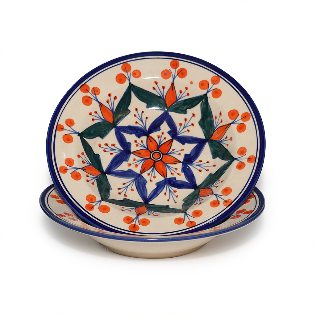 Pasta Plate Set of 2| Multicolour | 450 ml each