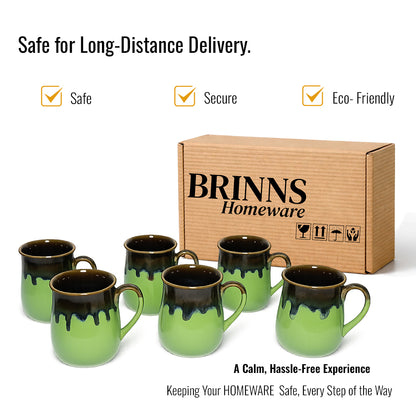 Milk Mugs Set of 6 | Parrot Green-Brown | 400ml