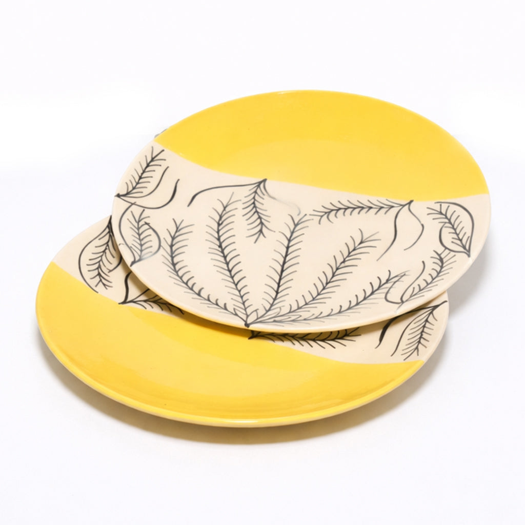 Dinner Plates Set | Multicolour