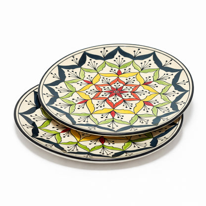 Dinner Plates Set | Multicolour