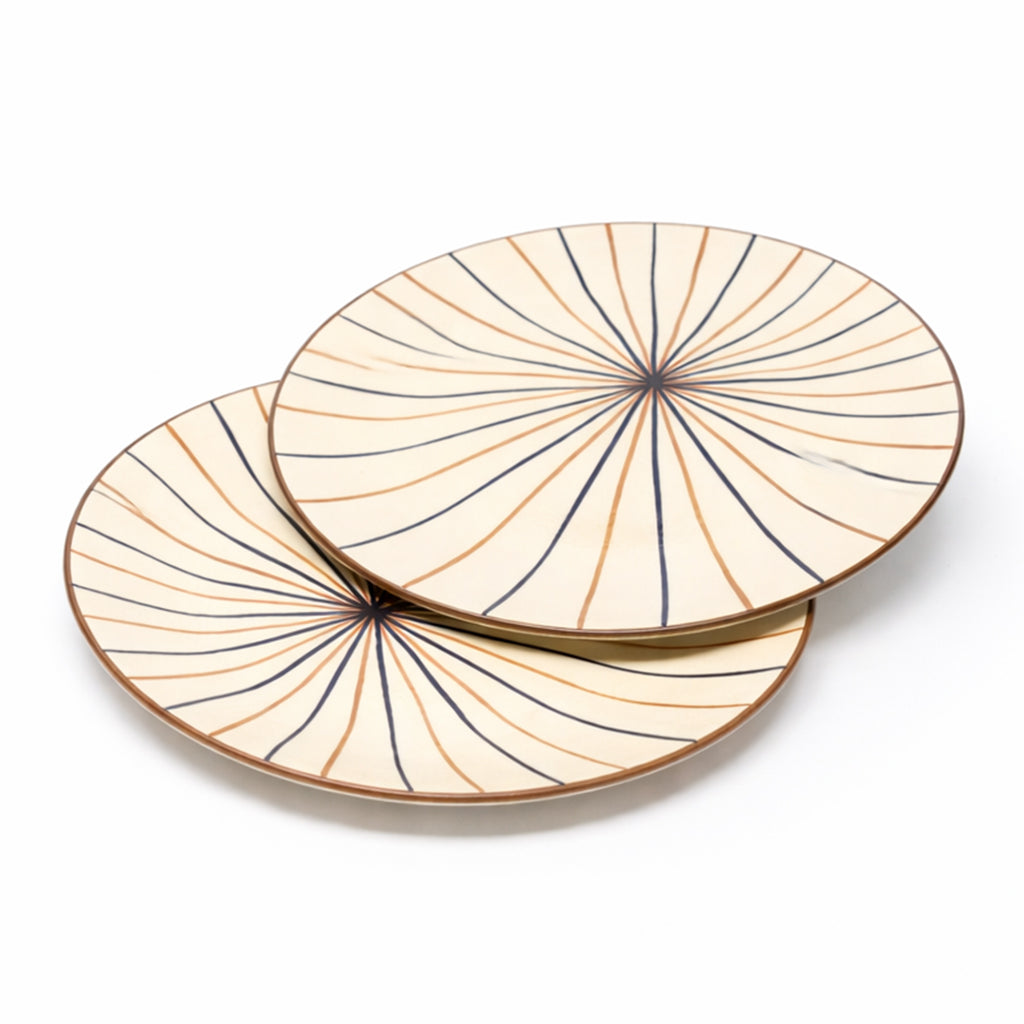 Dinner Plates Set | Multicolour