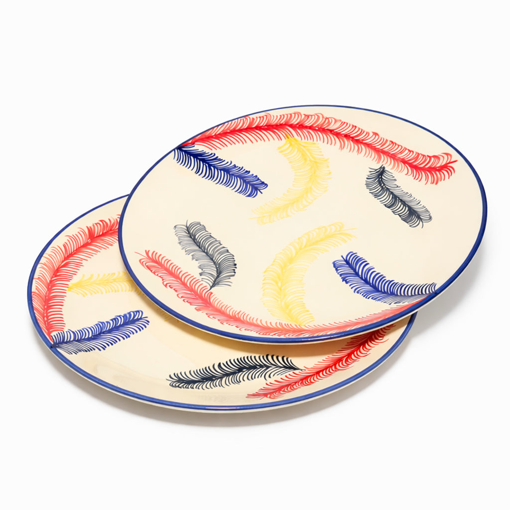 Dinner Plates Set | Multicolour