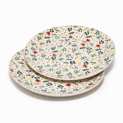 Dinner Plates Set | Multicolour