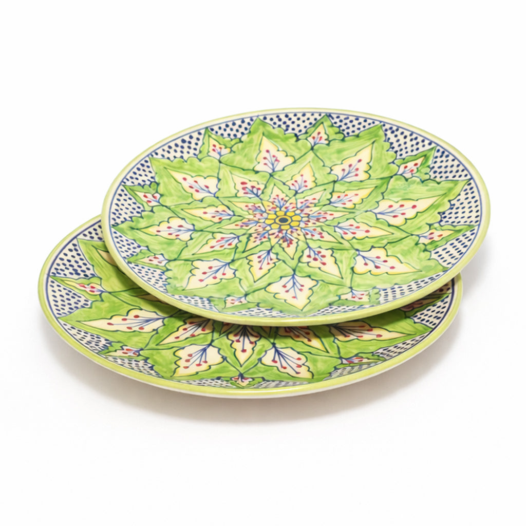 Dinner Plates Set | Multicolour