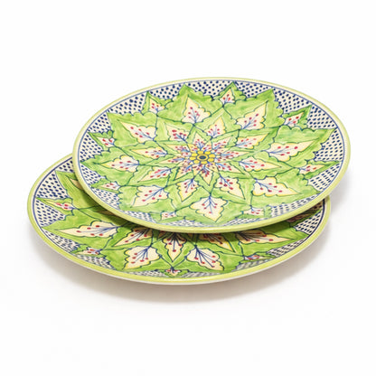 Dinner Plates Set | Multicolour