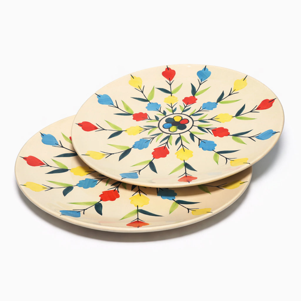 Dinner Plates Set | Multicolour
