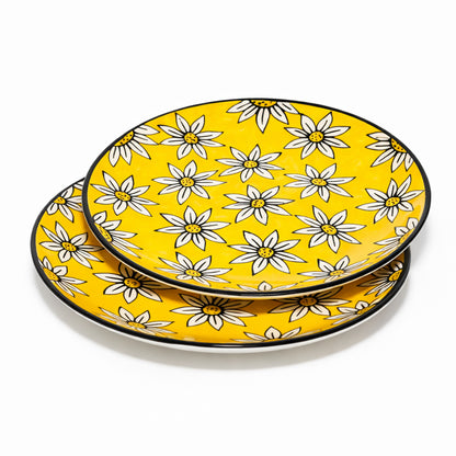 Dinner Plates Set | Multicolour