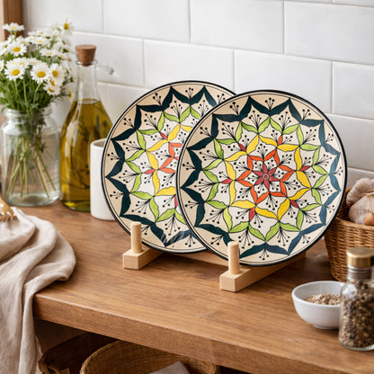 Dinner Plates Set | Multicolour