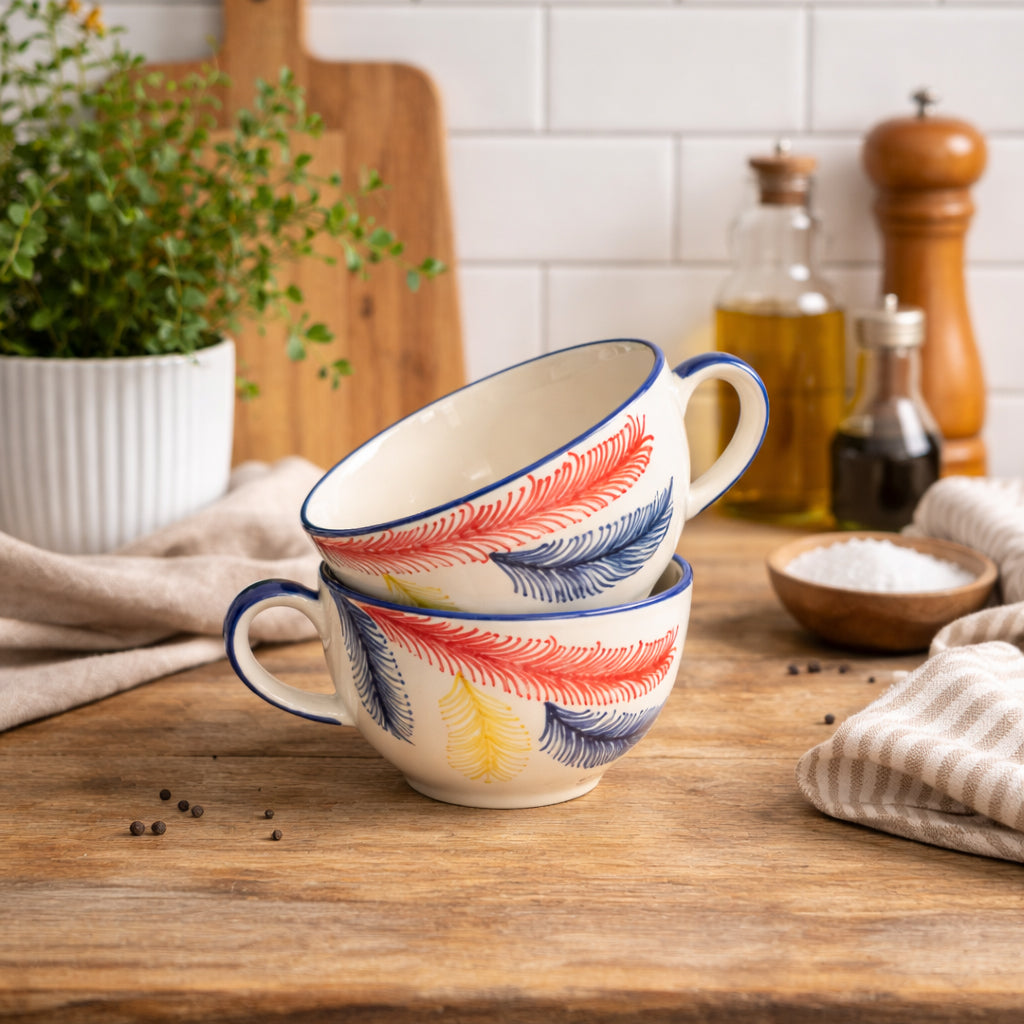 Soup Bowls Set of 2| Multicolour | 400 ml