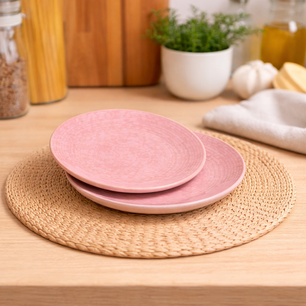 Quarter Serving Plate Set of 2 | Multicolour