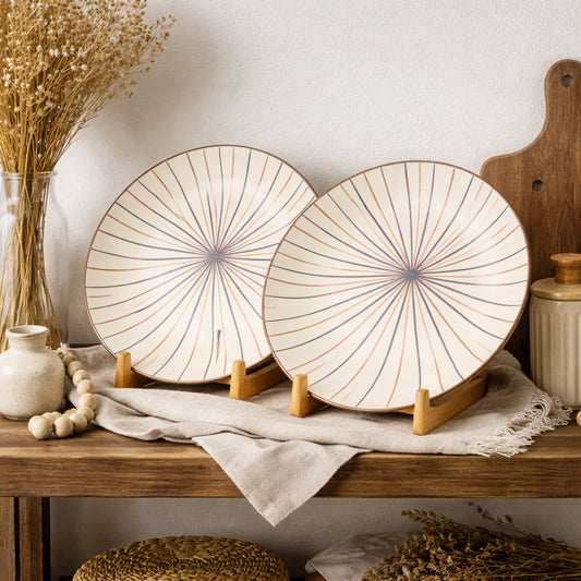 Dinner Plates Set | Multicolour