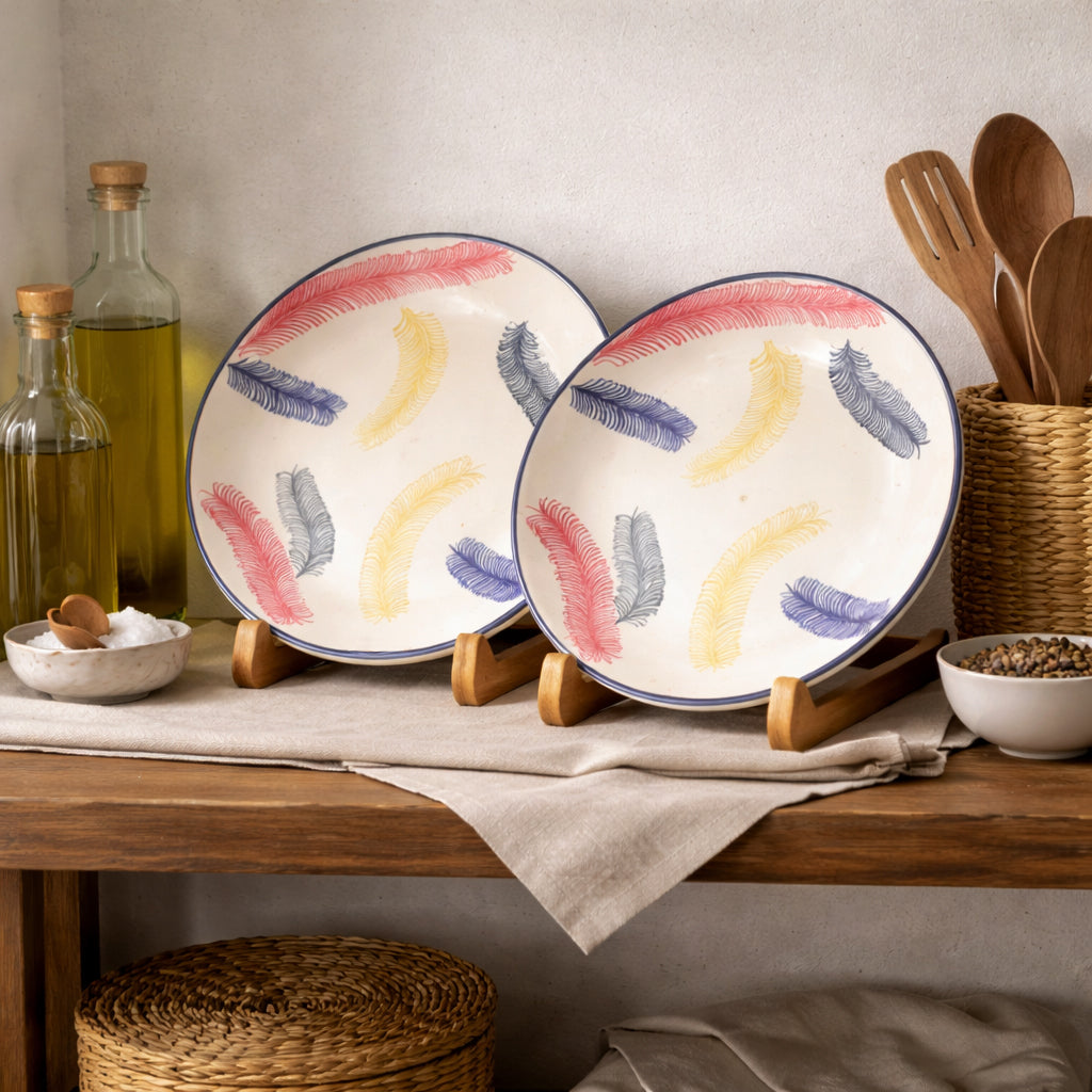 Dinner Plates Set | Multicolour