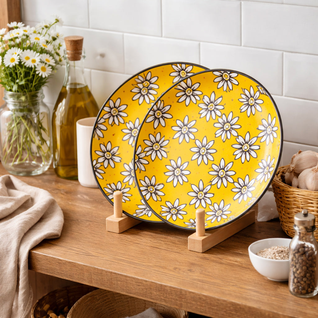 Dinner Plates Set | Multicolour