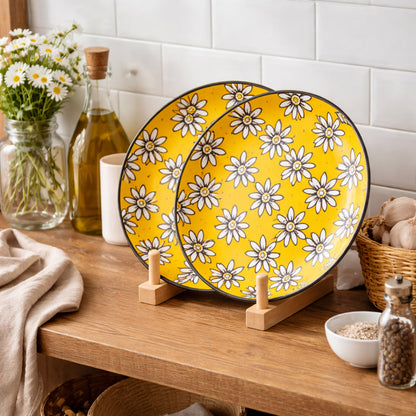 Dinner Plates Set | Multicolour