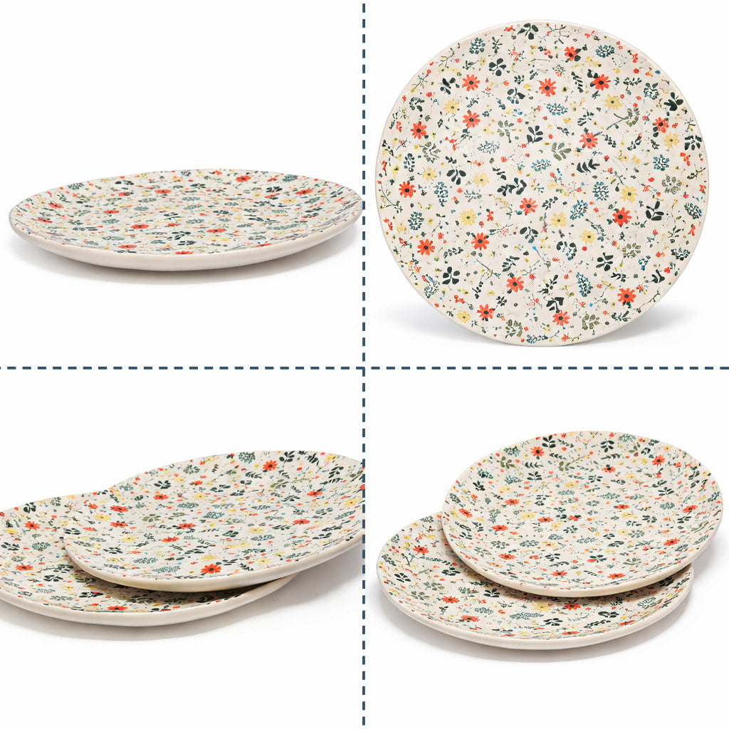 Dinner Plates Set | Multicolour
