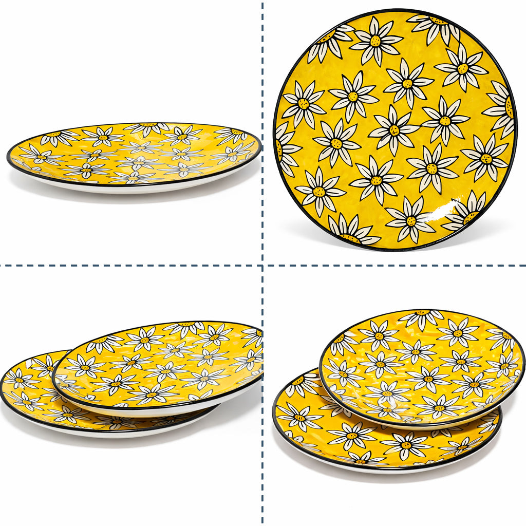 Dinner Plates Set | Multicolour
