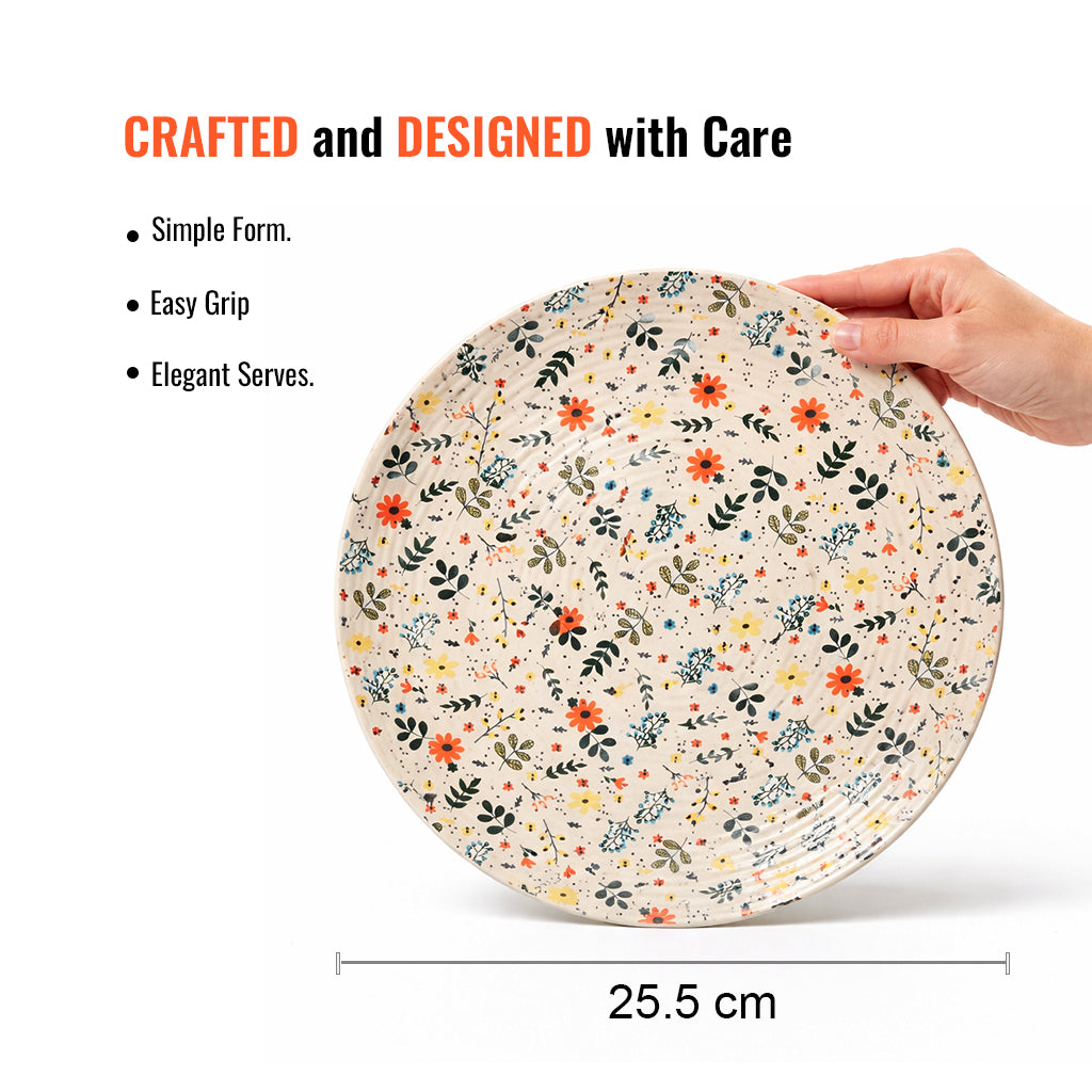 Dinner Plates Set | Multicolour