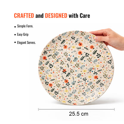 Dinner Plates Set | Multicolour