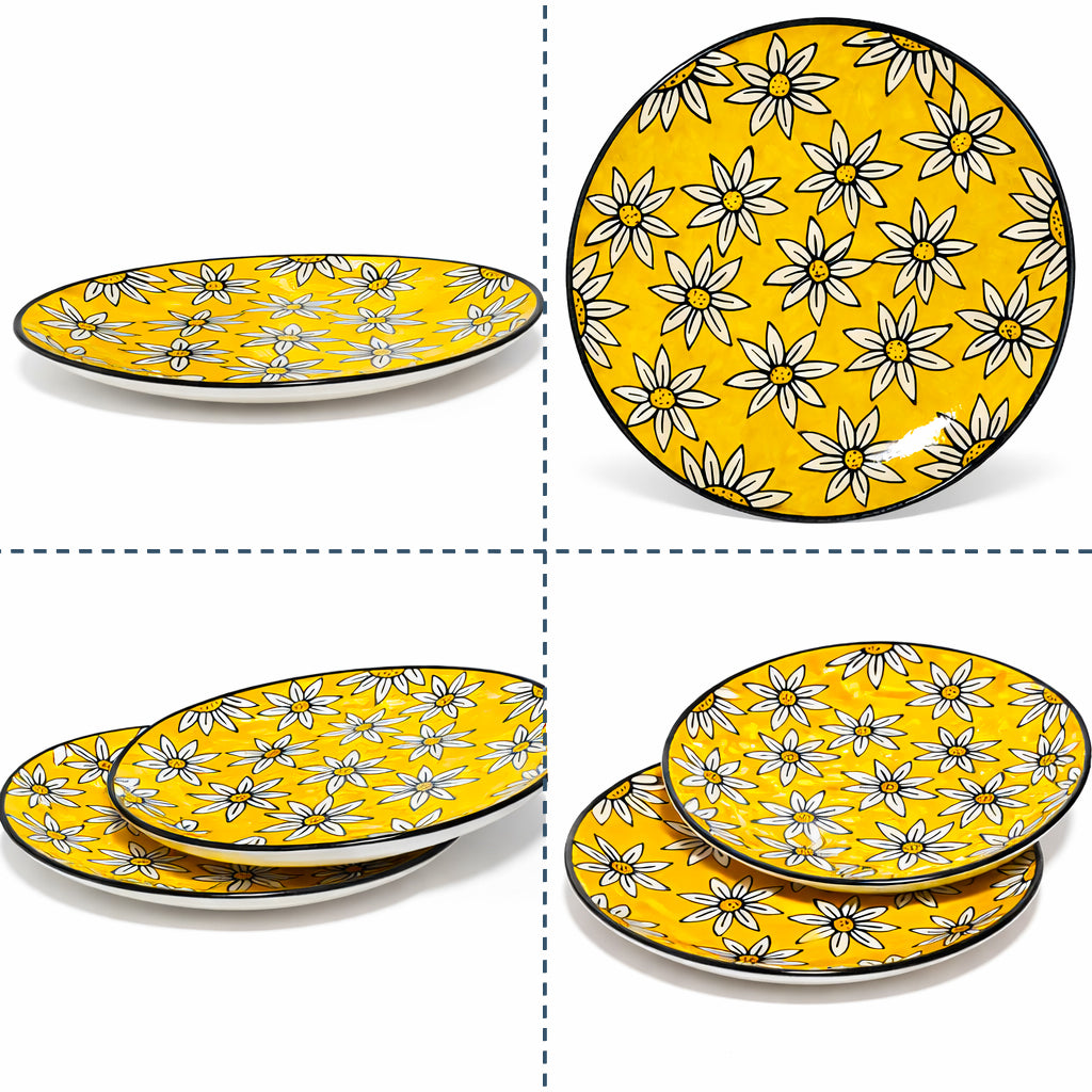 Dinner Plates Set | Multicolour