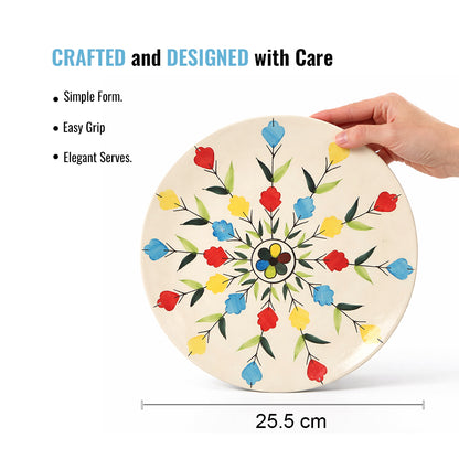 Dinner Plates Set | Multicolour