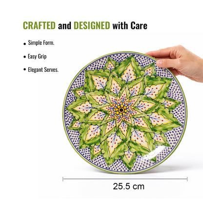 Dinner Plates Set | Multicolour