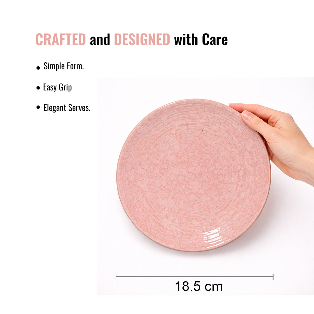 Quarter Serving Plate Set of 2 | Multicolour