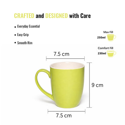 Coffee Mugs Set of 6 | 250 ml