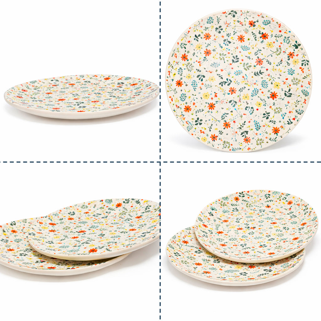Dinner Plates Set | Multicolour
