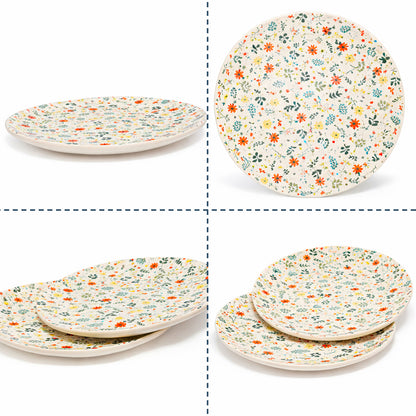 Dinner Plates Set | Multicolour
