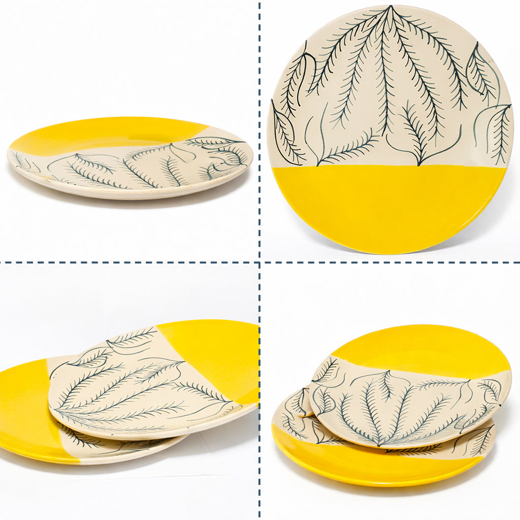 Dinner Plates Set | Multicolour