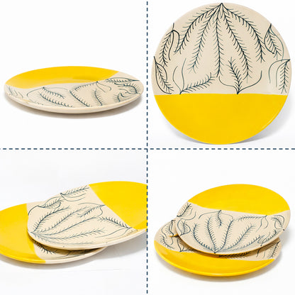 Dinner Plates Set | Multicolour