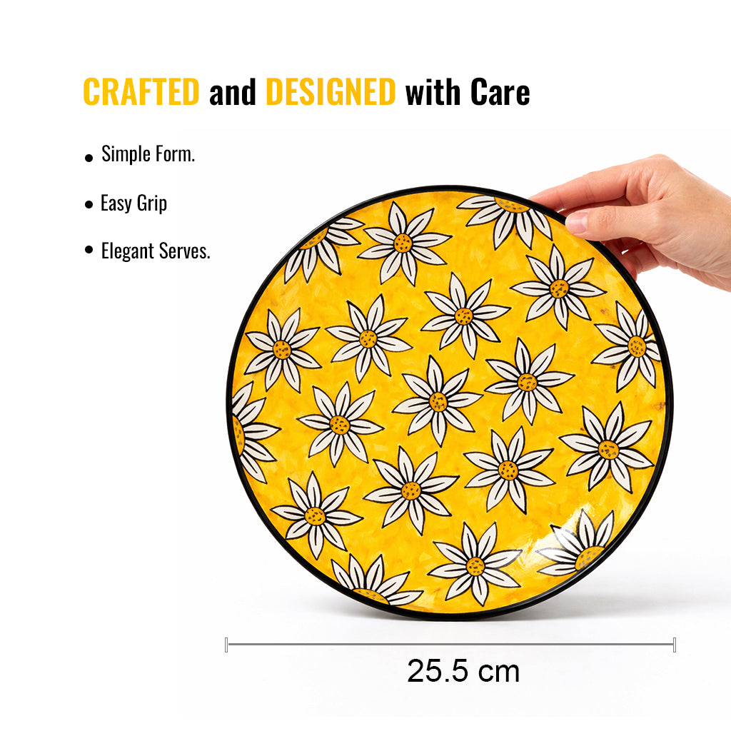 Dinner Plates Set | Multicolour