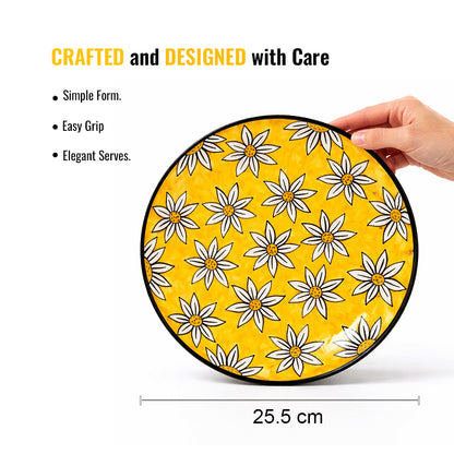 Dinner Plates Set | Multicolour