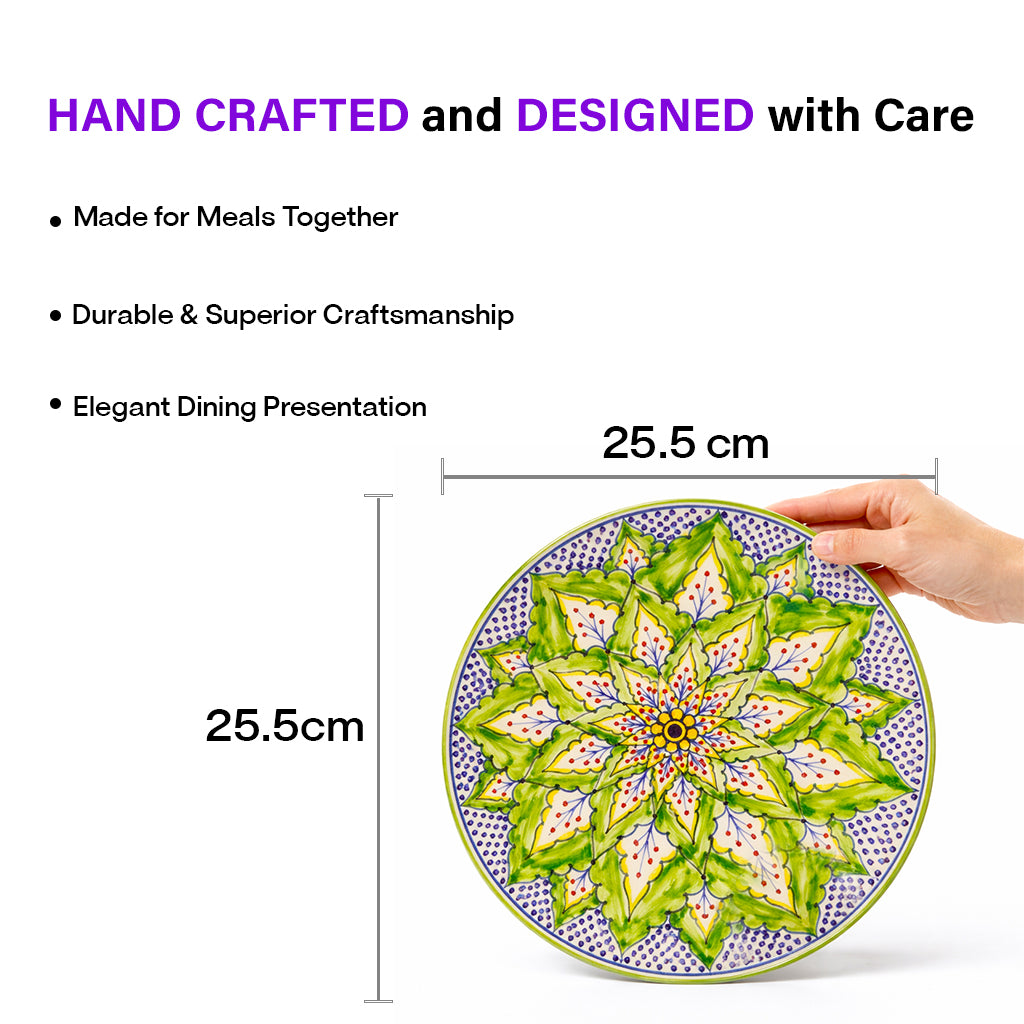 Dinner Plates Set | Multicolour