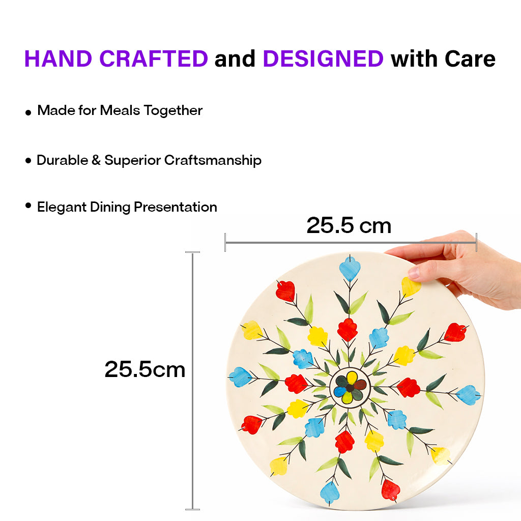 Dinner Plates Set | Multicolour