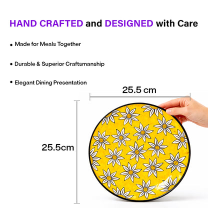 Dinner Plates Set | Multicolour