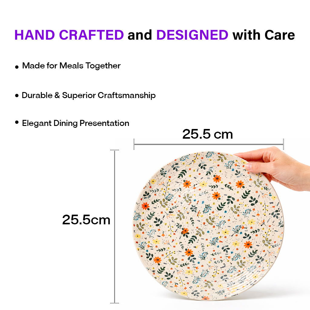 Dinner Plates Set | Multicolour