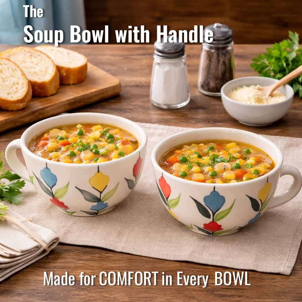Soup Bowls Set of 2| Multicolour | 400 ml
