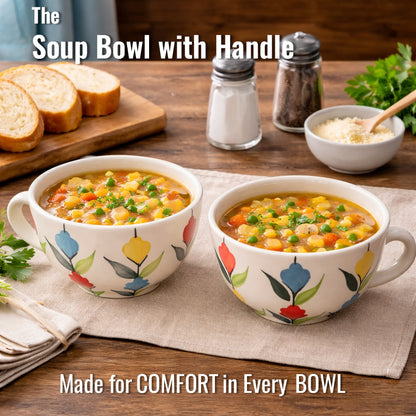 Soup Bowls Set of 2| Multicolour | 400 ml
