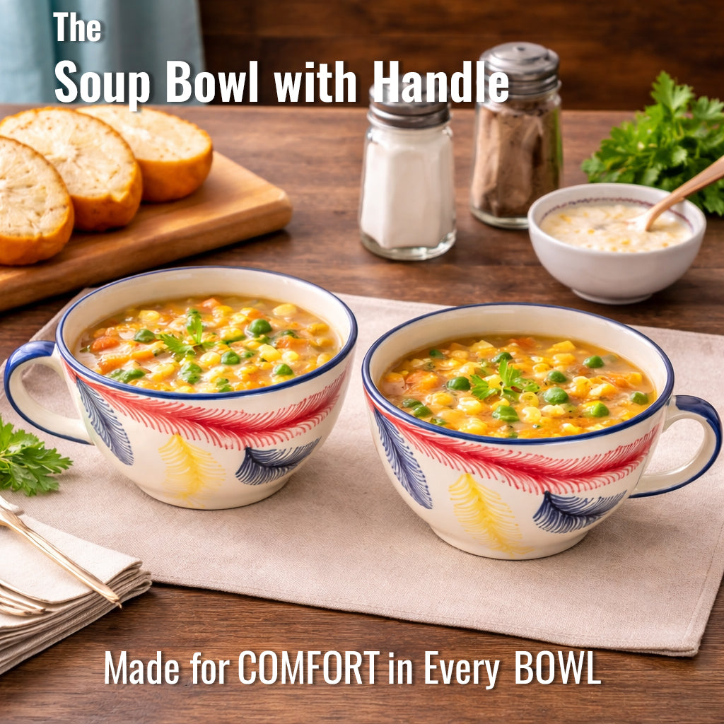 Soup Bowls Set of 2| Multicolour | 400 ml