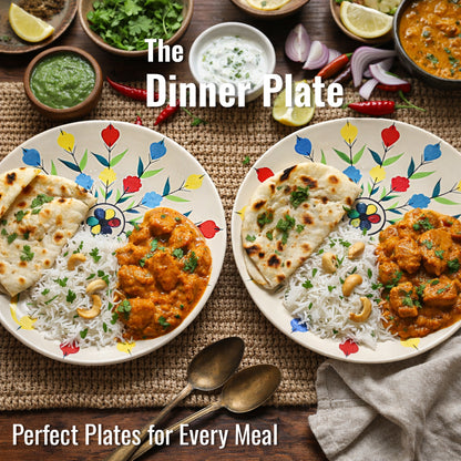 Dinner Plates Set | Multicolour