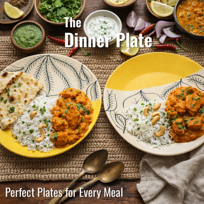 Dinner Plates Set | Multicolour