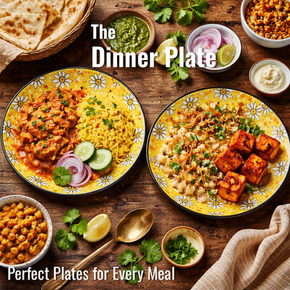 Dinner Plates Set | Multicolour