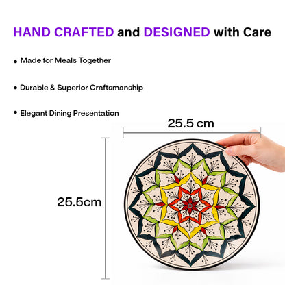 Dinner Plates Set | Multicolour