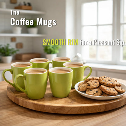 Coffee Mugs Set of 6 | 250 ml