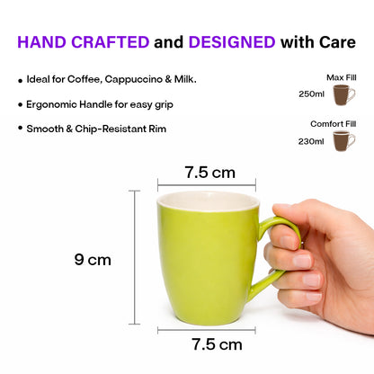 Coffee Mugs Set of 6 | 250 ml