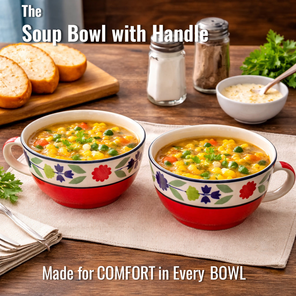 Soup Bowls Set of 2| Multicolour | 400 ml
