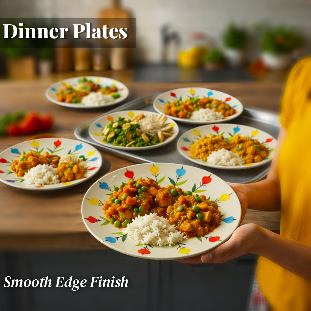 Dinner Plates Set | Multicolour